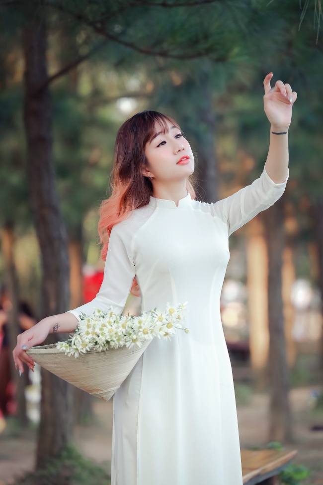 弹壳与玫瑰